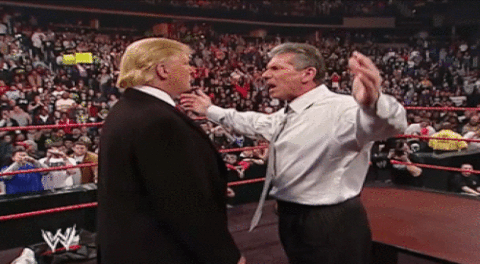 Trump wrestles McMahon